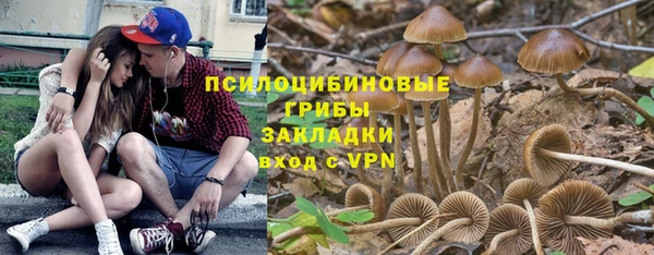 прущая мука Верхний Тагил