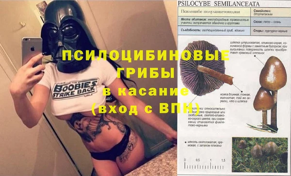 прущая мука Верхний Тагил