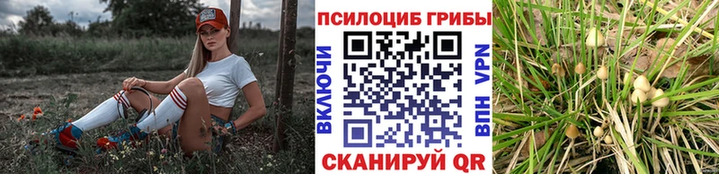 Галлюциногенные грибы мицелий  магазин    Ейск 